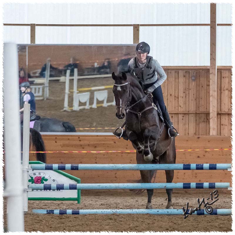 1310-CR7138-Horse