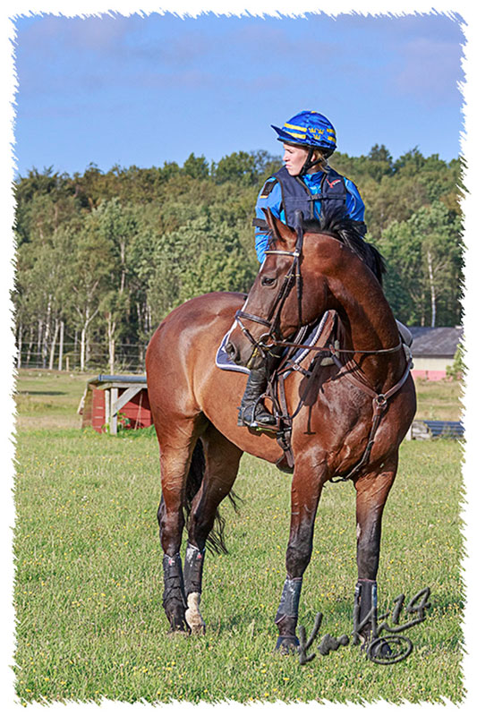 1408-4199-SaG-XCtraning-Zorro