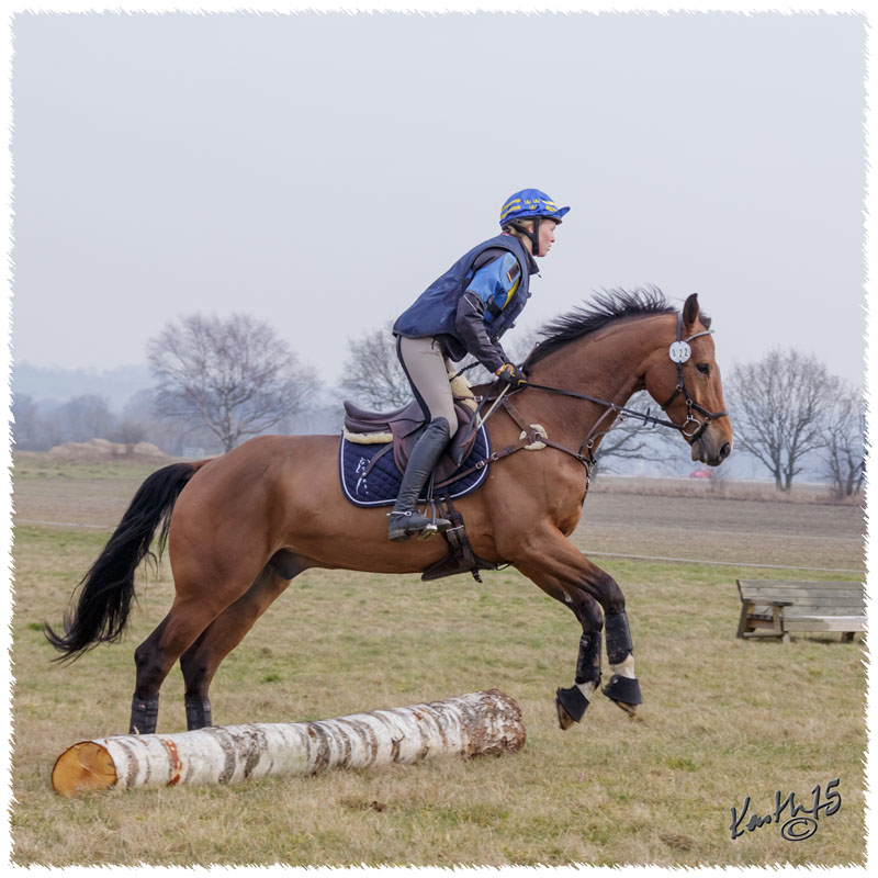 1503-5903-Ted-xc-SaG-CoCo