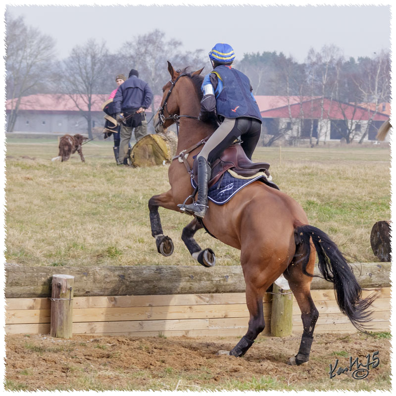 1503-5937-Ted-xc-SaG-CoCo