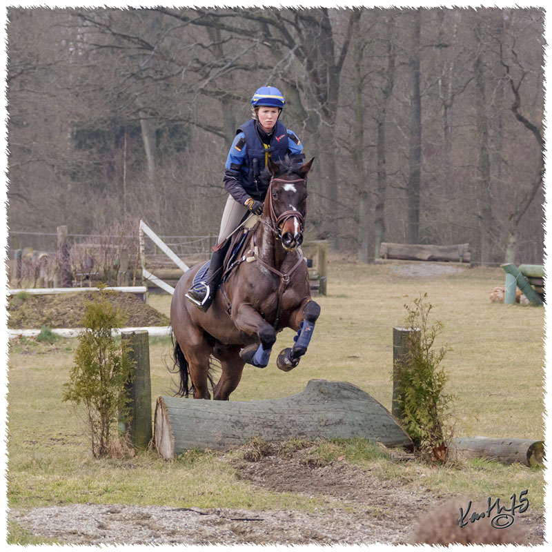 1503-6042-Ted-xc-SaG-Zorro