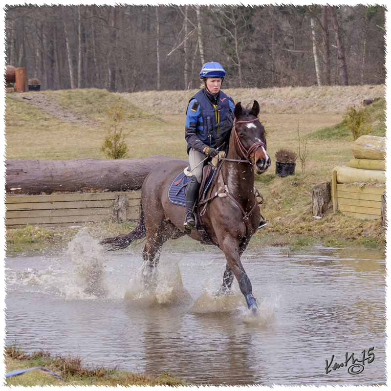 1503-6045-Ted-xc-SaG-Zorro