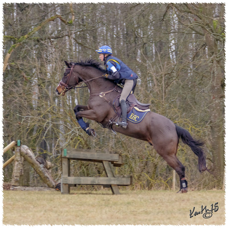 1503-6125-Ted-xc-SaG-Zorro