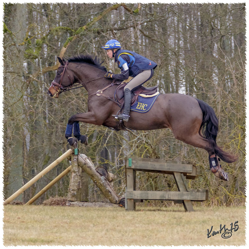 1503-6126-Ted-xc-SaG-Zorro