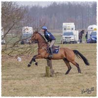 1503-5909-Ted-xc-SaG-CoCo