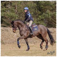 1503-6039-Ted-xc-SaG-Zorro