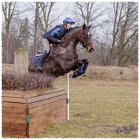 1503-6085-Ted-xc-SaG-Zorro