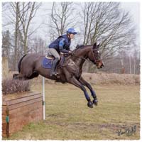 1503-6086-Ted-xc-SaG-Zorro