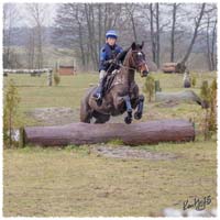 1503-6093-Ted-xc-SaG-Zorro