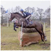 1503-6101-Ted-xc-SaG-Zorro