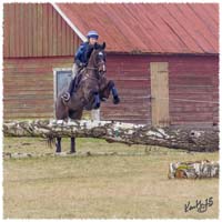 1503-6119-Ted-xc-SaG-Zorro