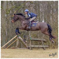 1503-6126-Ted-xc-SaG-Zorro