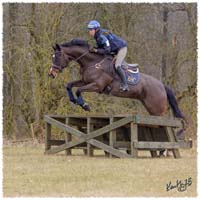 1503-6143-Ted-xc-SaG-Zorro