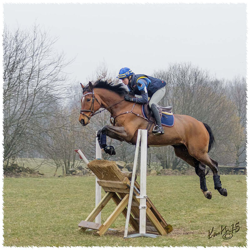 01-1503-0185-SaG-Nisse