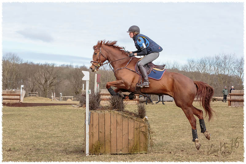 1603-7283-XC_training-SaG-Dino