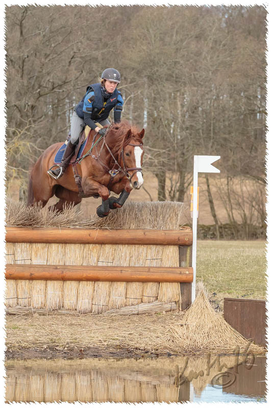 1603-7295-XC_training-SaG-Dino