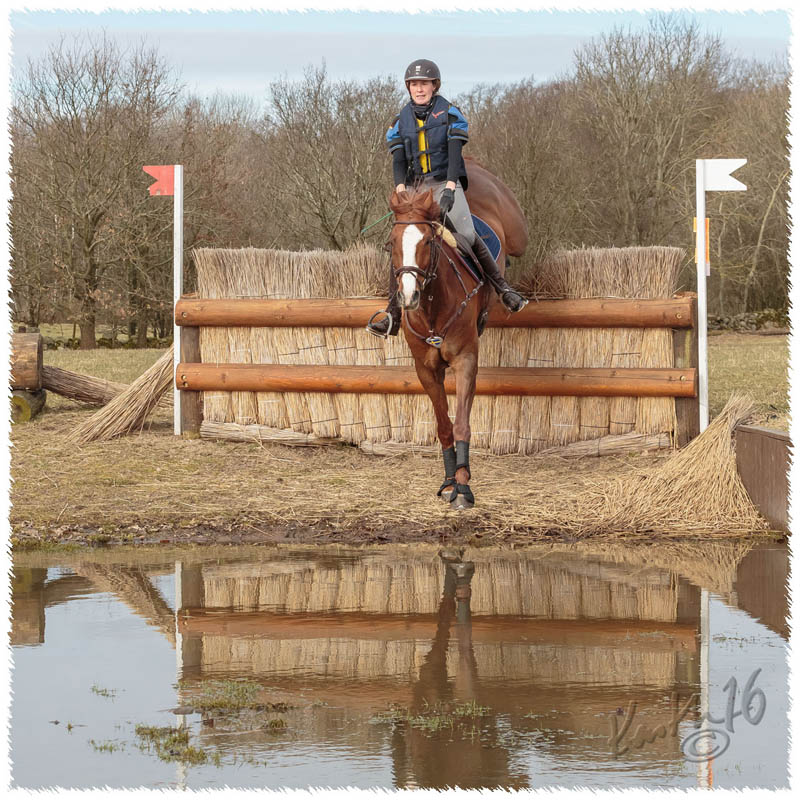 1603-7371-XC_training-SaG-Dino