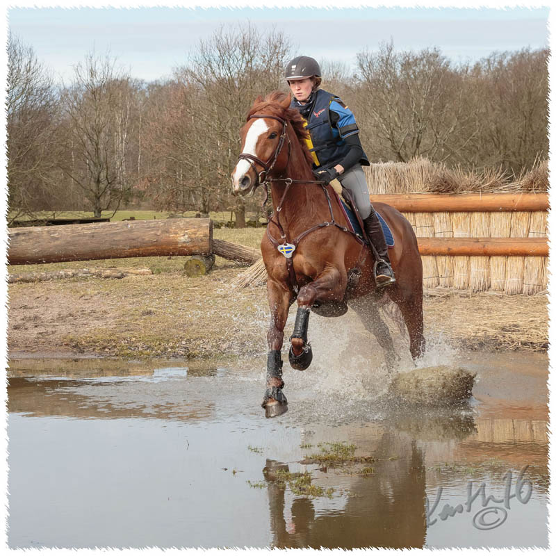 1603-7376-XC_training-SaG-Dino