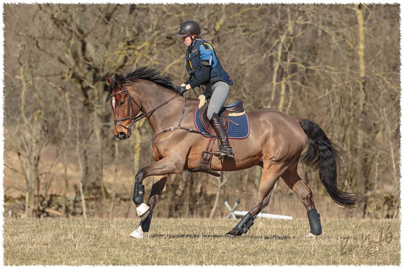 1603-7461-XC_training-SaG-Nisse