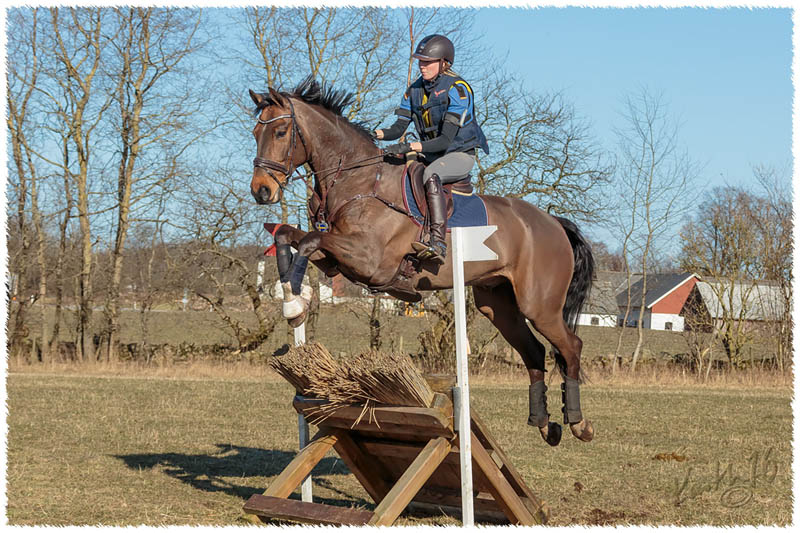 1603-7897-XC_training-SaG-X2