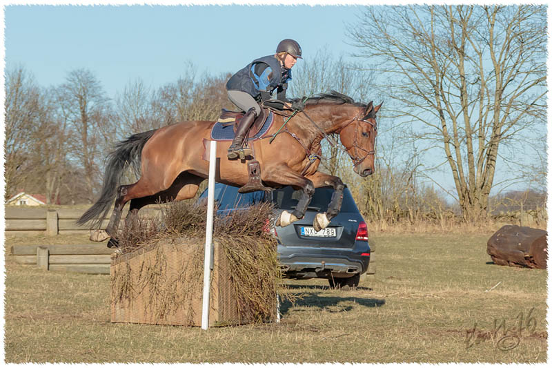 1603-8065-XC_training-SaG-Luddan