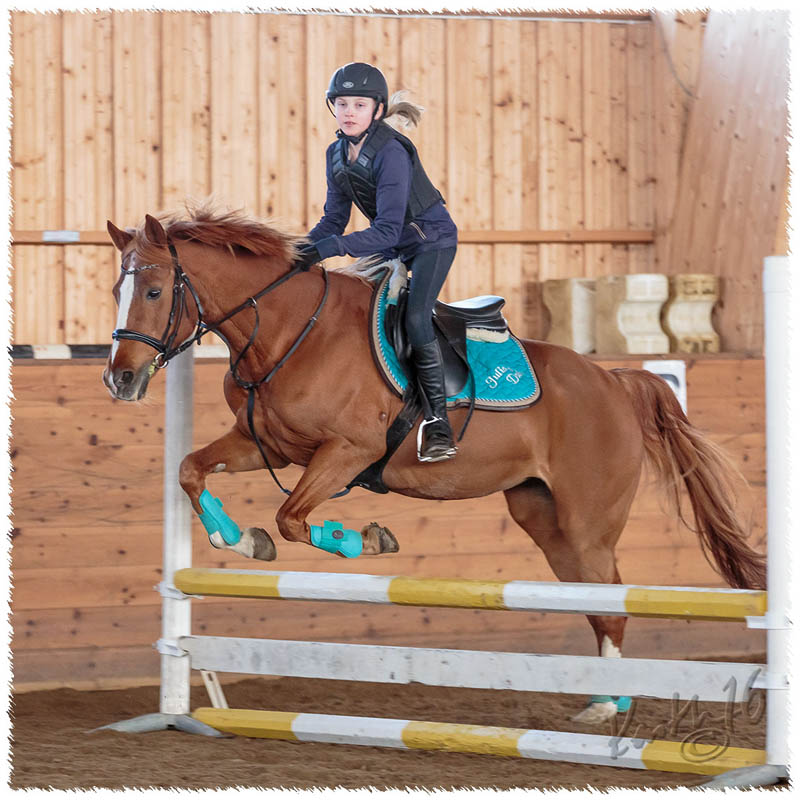 1603-8412-CR-hopp-ponny