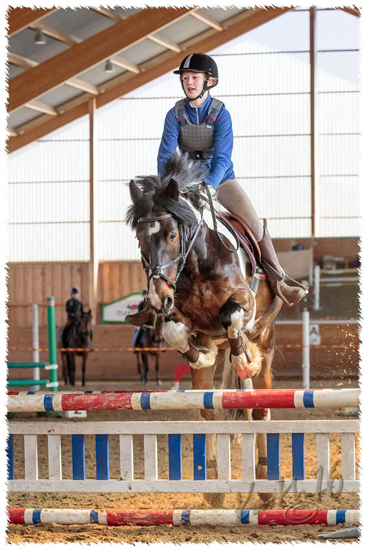1603-8454-CR-hopp-ponny