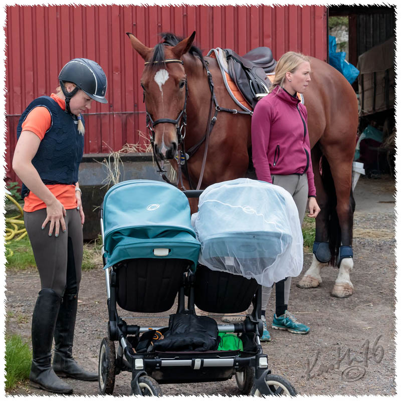 1609-2666-SaG-lektion