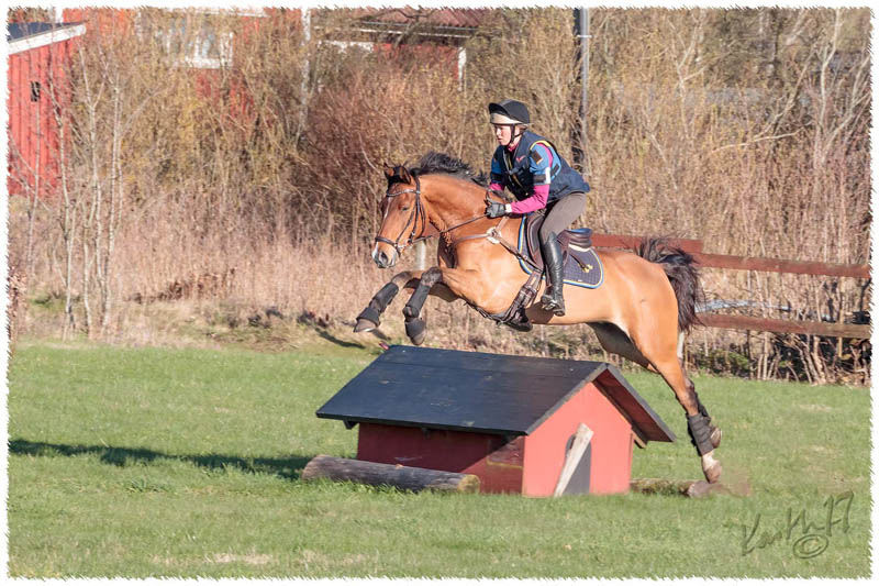 1704-7628-XC-training-Pelle