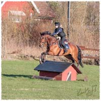 1704-7647-XC-training-Nisse