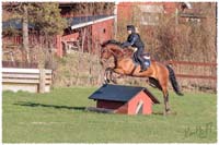 1704-7766-XC-training-Nisse