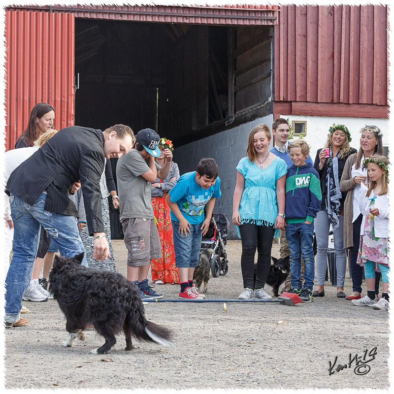 1406-0971-Midsommarafton