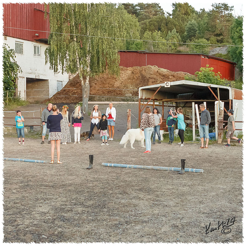 1406-1251-Midsommarafton
