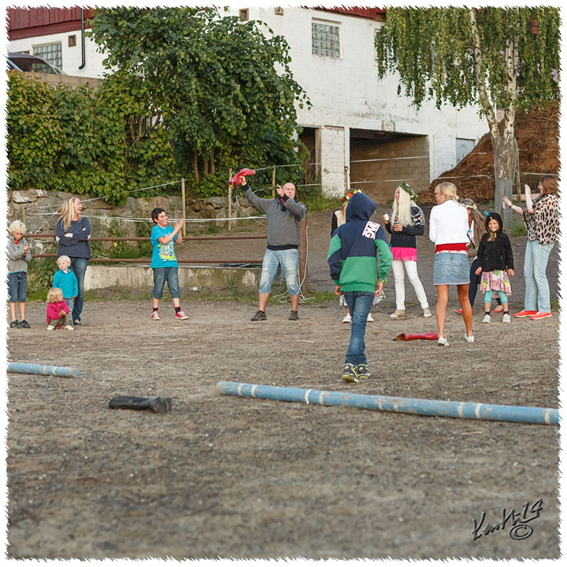 1406-1314-Midsommarafton