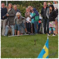 1406-1378-Midsommarafton