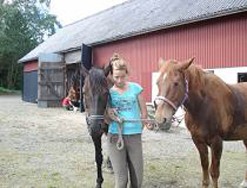 Daisy, Karin och Ygge